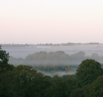 mist morning